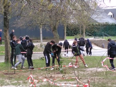 plantation 4