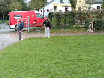 Végétal2