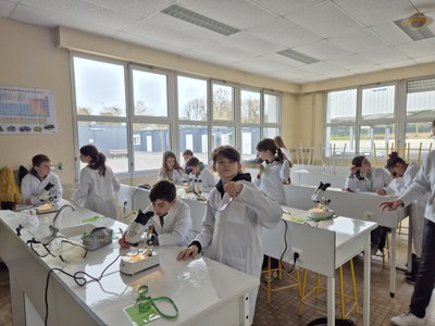 Prtps3