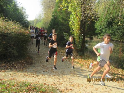 Cross collège 04