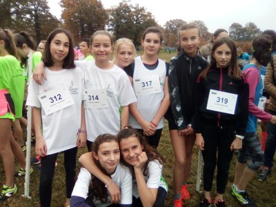 départemental 5è filles