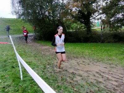 Cross départemental 20