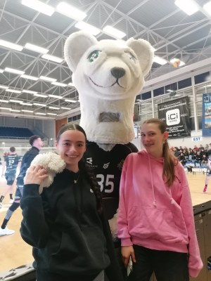 Volley nounours