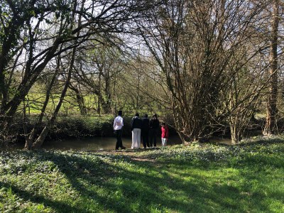 Nature4jpg