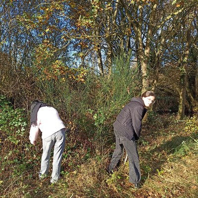 Bocage(12)