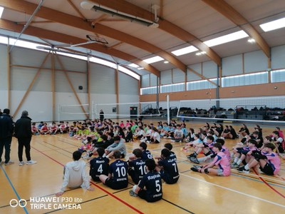 Volley