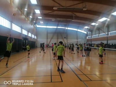 Volley2