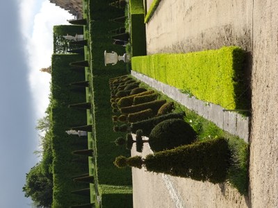 DSC00854