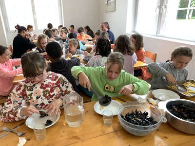 IMG 7256
