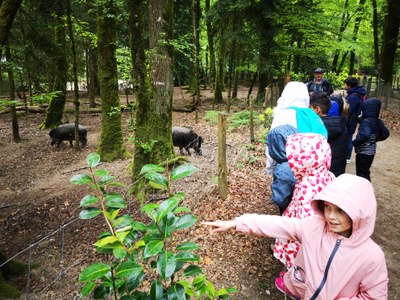 IMG 20220502 110306