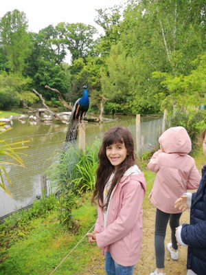 IMG 20220502 113144
