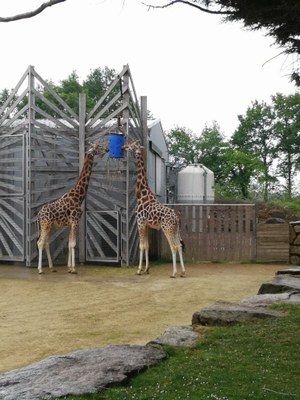 IMG 20220502 120126