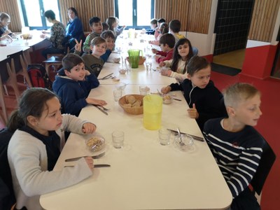 IMG 20220502 122613