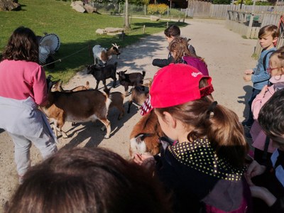 IMG 20220504 101309