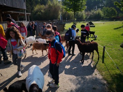 IMG 20220504 101429