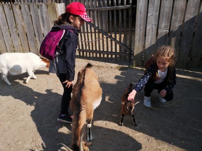 IMG 20220504 101833