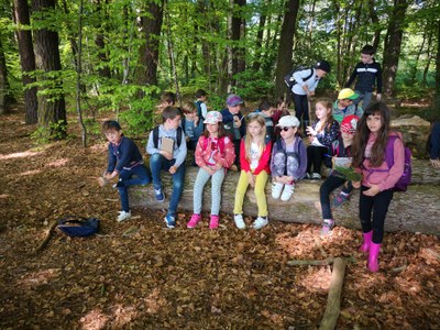 IMG 20220504 110311