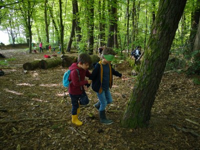 IMG 20220504 112058