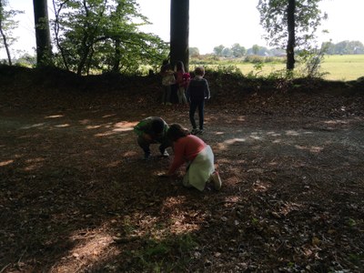 IMG 20220504 115120