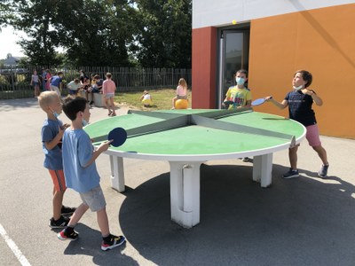 IMG 1328