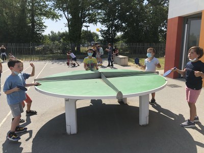 IMG 1330