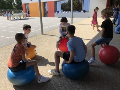 IMG 1335