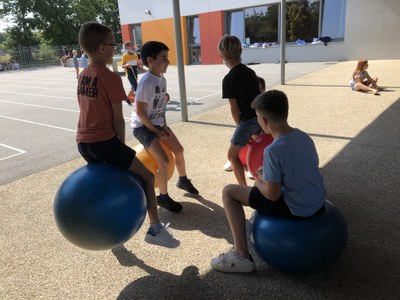 IMG 1337